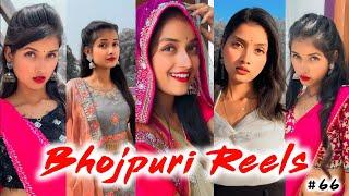 Part-66 Instagram Bhojpuri Reels | Bhojpuri Tik Tok | Trending Bhojpuri Reels | Bhojpuri Shorts