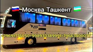 Москва Ташкент автобус прямой рейс МОСКВА ТАШКЕН АВТОБУС