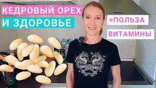 Кедровый орех: польза и вред для здоровья. Сколько кедровых орехов можно в день? Чем полезны орехи?