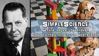 Школа науки управления. Теория открытых систем Берталанфи