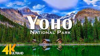 Yoho National Park Canada 4K - Scenic Relaxation Film with Epic Cinematic Music - 4K Video Ultra HD