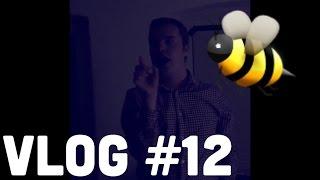 Das Ding | VLOG #12 - Thechrislive