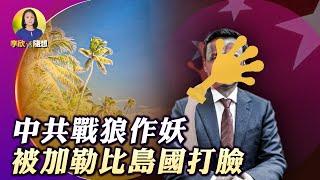 中共戰狼作妖 被加勒比島國打臉 （李欣隨想 149）