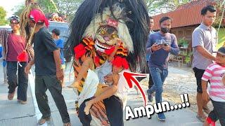 PENGEJEK KETANGKAP BARONGAN NGAMUK !! Arak arakan Barongan Blora GONDO WIJOYO live Klopoduwur