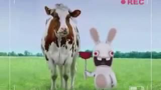 Rayman Raving Rabbids Bunnies Compilation