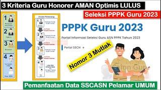 3 Kriteria Guru Honorer AMAN Optimis LULUS Seleksi PPPK Guru 2023 ~ Cek Posisi ANDA