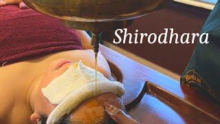SHIRODHARA therapy experience in Kerala | Ayurvedic Therapies