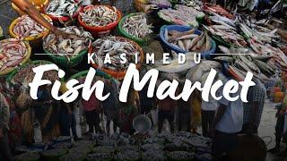 Kasimedu fish market in Chennai | Fish wholesale market | Kasimedu Fishing harbor | in HINDI