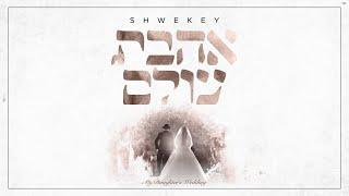 יעקב שוואקי - אהבת עולם Yaakov Shwekey - Ahavat Olam (ft. Elnatan Shalom) I