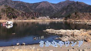 河口湖バス釣り〜3月1日さかなやワンド編【河口湖バス釣り】