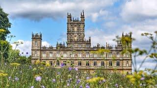 Explore flora and fauna at Highclere Castle