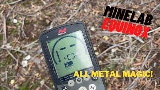 Minelab Equinox - All Metal Magic - Why Use the ALL METAL Function?