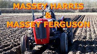 Massey  Harris and Ferguson Tractors