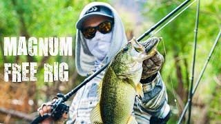 Upsizing The Free Rig? Throwing Magnum Baits On The Free Rig!