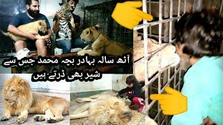 lion in Lahore - private mini zoo in Lahore - lion attack - baby lion -Loin in Pakistan