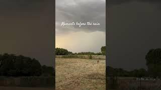 #rain #nature #doglovers #storm #summer_rain #moments #eminem #stan #shortsyoutube #thunderstorm