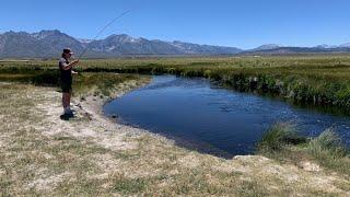 CATCHING LOADS OF FISH AT OWENS RIVER | MAMMOTH LAKES, CA