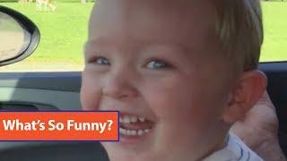 Toddler Laughs At Ostrich Eating