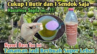 Cukup Satu Butir dan Satu Sendok Saja Tanaman Jenis Apapun Langsung Berbuah Lebat‼️