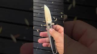 RUIKE M875-TZ#edc#shorts#pocketknife#knife#short#shortvideo#ruike#edc#blade#knives#gear#portugal