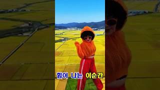 인사미와 cheisa(트롯ver) #준콤 #라디오광고대행사 #숏츠기획