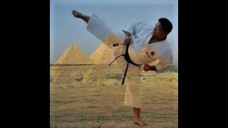 The Best Shotokan Karate Arabic Master -  ALAA SAEID #shotokan