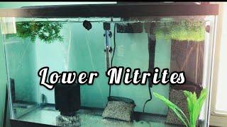 Lower Nitrites In Your Aquarium