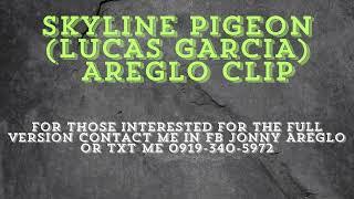 SKYLINE PIGEON (LUCAS GARCIA) AREGLO CLIP