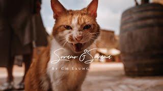 Sovana + Sorano Italy l Love Cats and Dogs
