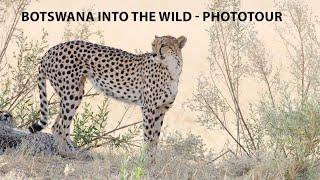 Botswana Into The Wild 2023