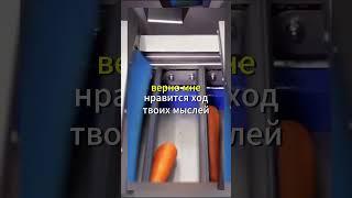 Урок в классе Вовочки #юмор #анекдоты #мемы #мем #приколы #смех #шутки #анекдот #вовочка