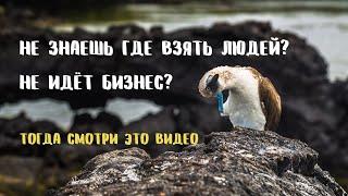 Не знаешь где взять людей? Не идёт бизнес? Тогда ВНИМАТЕЛЬНО СМОТРИ ЭТО ВИДЕО