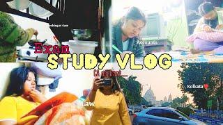 STUDY VLOG|CA foundation January 2025 exams