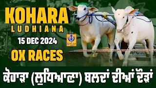 [Live] Kohara | Ludhiana | ਬਲਦਾਂ ਦੀਆਂ ਦੌੜਾਂ | Ox Races | 15 Dec 2024