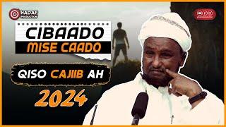 Dhaqankeena ma wuxuu noqday Cibaado mise Caado ᴴᴰ┇Sheekh Hussein Ali Jabuti  2024