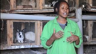 Rabbit Farming Is A Growing Industry In Kenya 2023/  (RABBIT QUEEN)KITENGELA RABBITRY