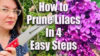 How to Prune Lilacs in 4 Easy Steps