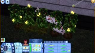 The sims 3 omni plant