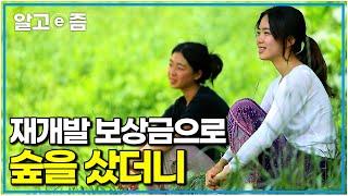 서울 한 평 원룸 살다가 아버지가 산 숲으로 돌아온 자매｜한국기행｜알고e즘