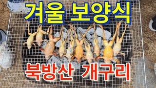 [개구리]겨울 최고의 보양식 북방산 "개구리" 개구리 FLEX (플렉스)  맛있게 먹는 방법  Frog Eating