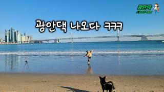 광안댁 나오다 ㅋㅋㅋ