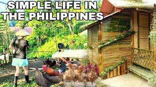 SIMPLE LIFE IN THE PHILIPPINES | PROVINCE OF BOHOL