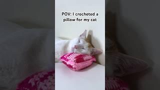 A crochet pillow for my cat!