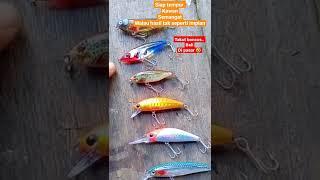 lure ampuh untuk mancing hampala