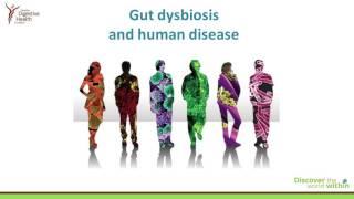 Introducing the Human Gut Microbiota