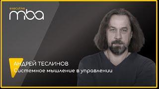 Системное мышление в управлении. Андрей Теслинов на Exececuive MBA ИБДА РАНХиГС.