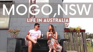 Exploring Mogo, NSW | Life in Australia Vlog | Aya Marie Travel Diary