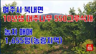 [여주농지.토지매매] 여주시 북내면 농업진흥구역(대추나무식재) 토지 매매[3억6400만원]