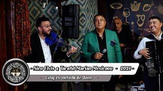 Nicu Elvis & Taraful Marian Mexicanu - Colaj cu melodii de dans - 2024