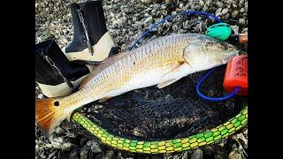 STUD REDFISH ALMOST SPOOLED ME -TEXAS SOUTHERN LIFESTYLE-CORPUS FISHING -FISHBANDITSQUAD-